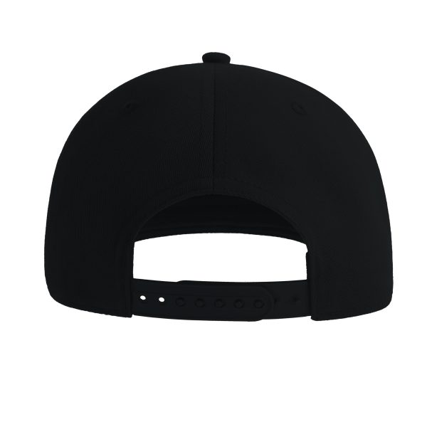 The Lemons Snapback - Image 2